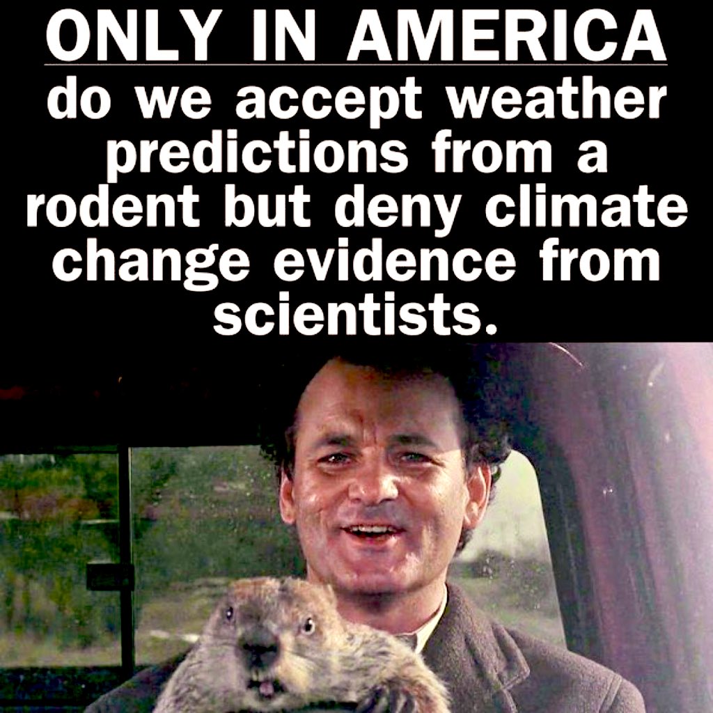 Image: Bill Murray holding a groundhog while driving (a scene from the movie Groundhog Day)
Text: Only in America do we accept weather predictions from a rodent but deny climate change evidence from scientists.