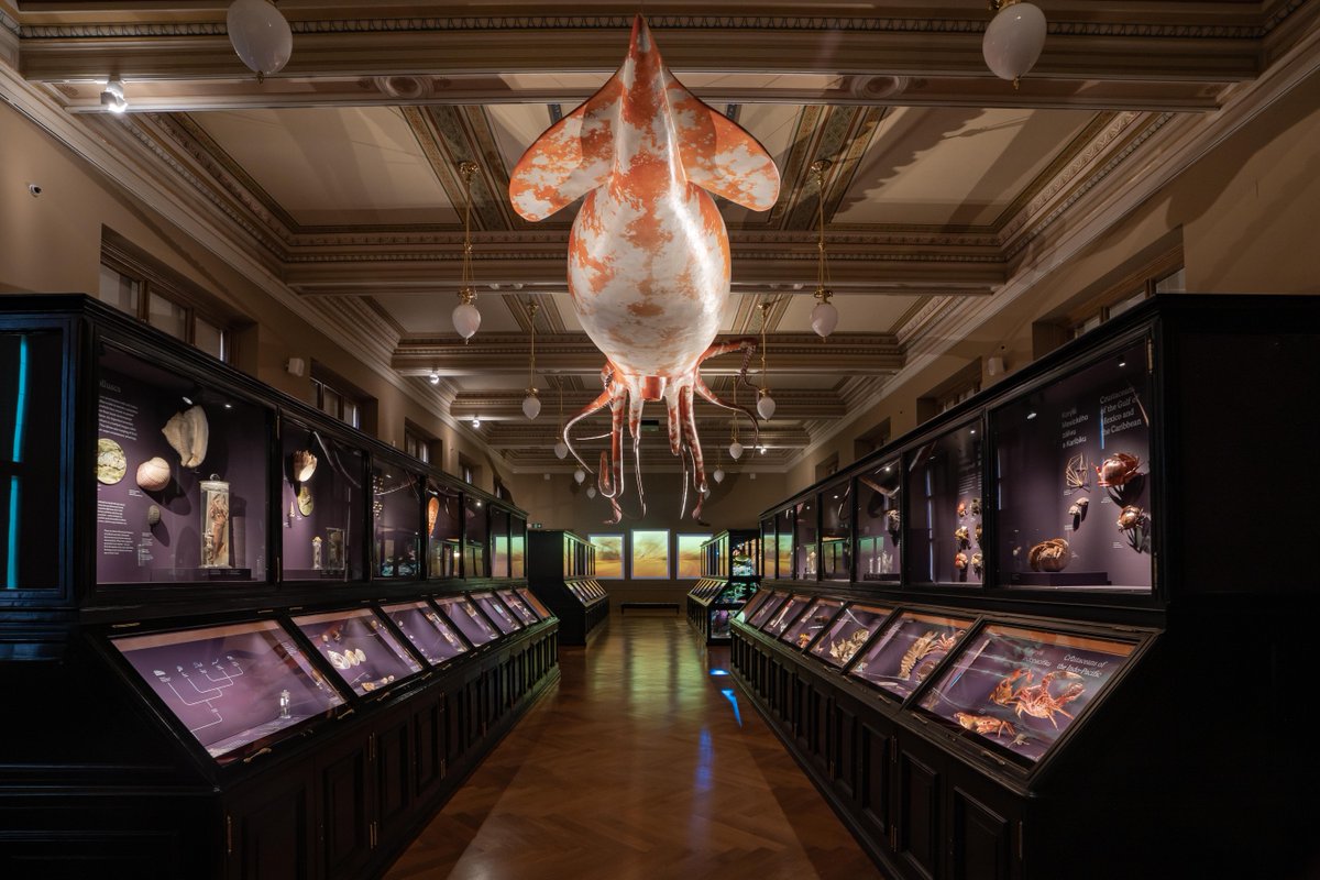 Od loňského září můžete v <a href="/narodnimuzeum/">Národní muzeum</a>  navštívit expozici "Zázraky evoluce" 🌍 Osvětlení této expozice, tedy přes dva tisíce světelných zdrojů ve zdejších vitrínách, naprogramoval <a href="/SiemensCzech/">Siemens Czech</a>
Chcete se dozvědět více? 🤔 ➡️ sie.ag/3GghxMw #mojeNarodnimuzeum #siemens