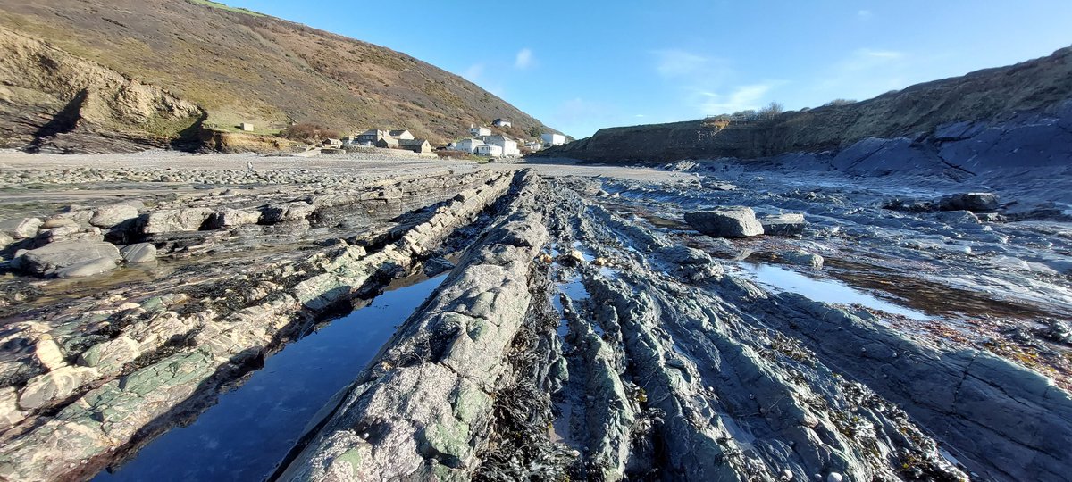 Geology at crackengton haven today.
#cornwall