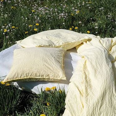 piinkibun's tweet image. 