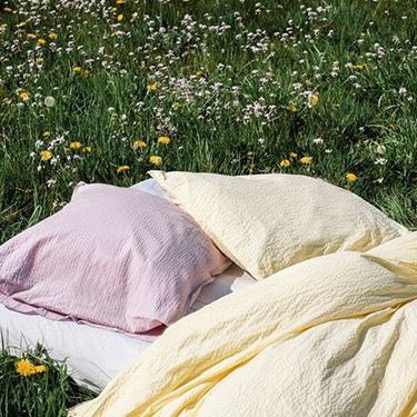 piinkibun's tweet image. 