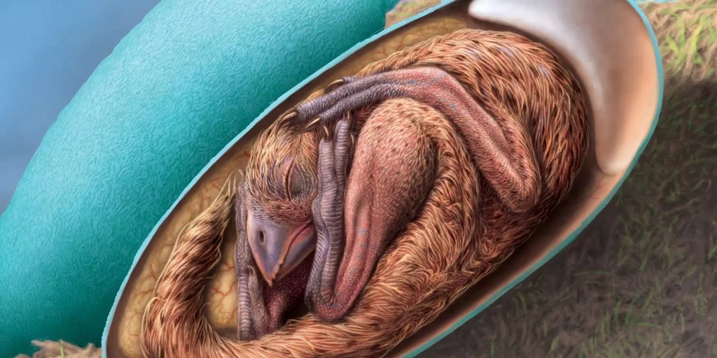 U Calgary tweet media