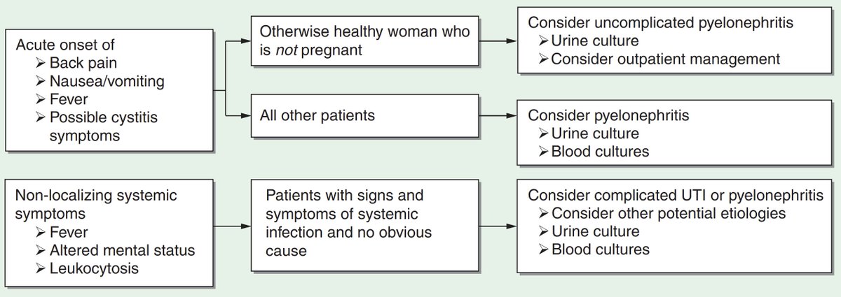 edgarvlermamd's tweet photo. Diagnostic approach to urinary tract infections (UTI) #Nephpearls #IMpearls https://t.co/wscQ1Qi0u4