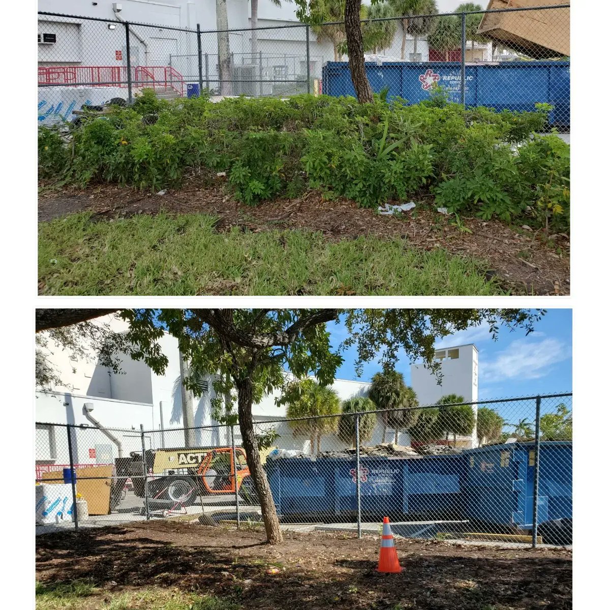 PTSOSBHS's tweet photo. Invasive shrubs: removed. Ready to plant! Big THANK YOU to @Durante_Equipment for making this equipment rental possible. You saved our backs, our time and we are grateful!
Thank you also to the small team of dedicated volunteers who gave your time and got this prep work done! https://t.co/o7QbTSwg7u