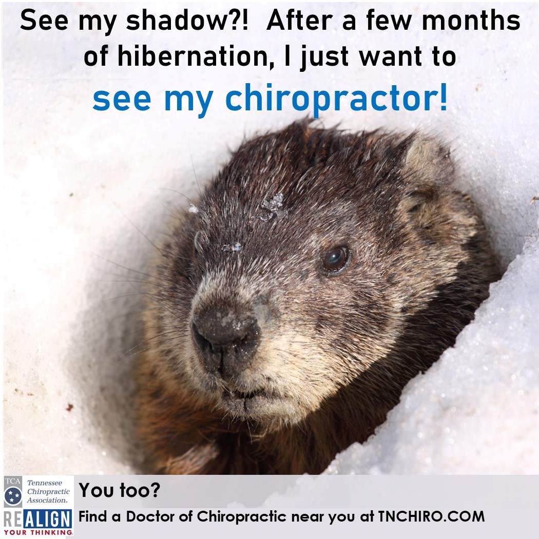 TN_Chiro's tweet photo. Winter, spring, summer or fall, your chiropractor is available to help you manage pain safely and without medications as well as being a great resource for overall health and wellness. #poweredbychiropractic #chiropractic1st #realignyourthinking https://t.co/gJN3MeKyrX