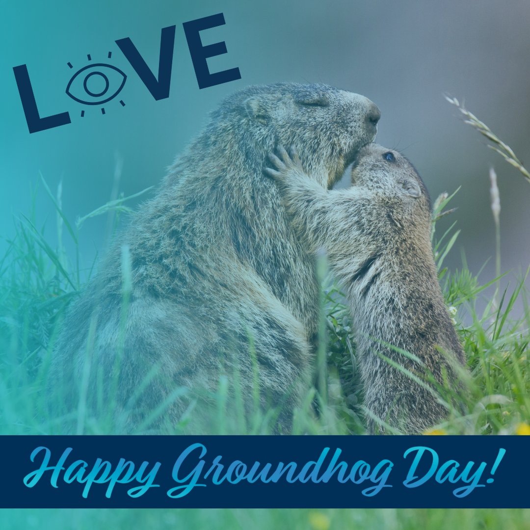 Midwest Eye Consultants tweet media