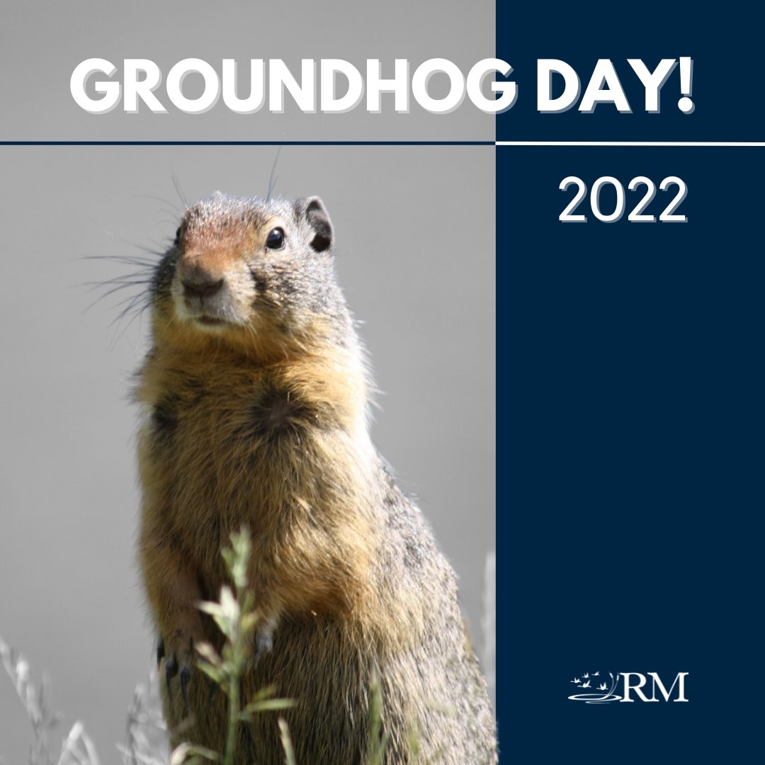 rodefermoss's tweet photo. Something about today feels familiar...🤔

Winter is here to stay.

Happy Groundhog Day from Rodefer Moss! 

#RodeferMoss #GroundhogDay #PunxsutawneyPhil https://t.co/B9a3bHm7QX