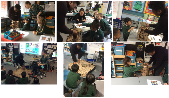 AlbionPrimary's tweet photo. Year 1 have been learning about different animals. This week we got to meet a kind of reptile called a terrapin. #APScurriculum #APSscience https://t.co/XV5Aqhs50k