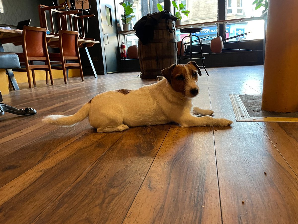 Logan keeping a watchful eye over <a href="/oldeastwaytap/">Old Eastway Tap</a>