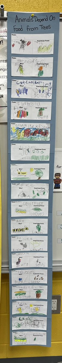 We are using our text “Be a Friend to Trees” to research and write how animals depend on trees. #excellenceIsInPlainview #otterlyAwesome <a href="/KeglerLisa/">Lisa Kegler</a> @teachkjw <a href="/plainviewElem/">Plainview Elementary School</a> <a href="/ELeducation/">EL Education</a>