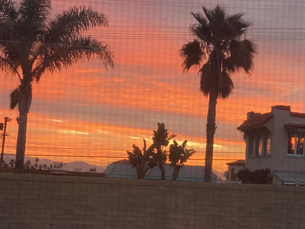 Never forget to see !