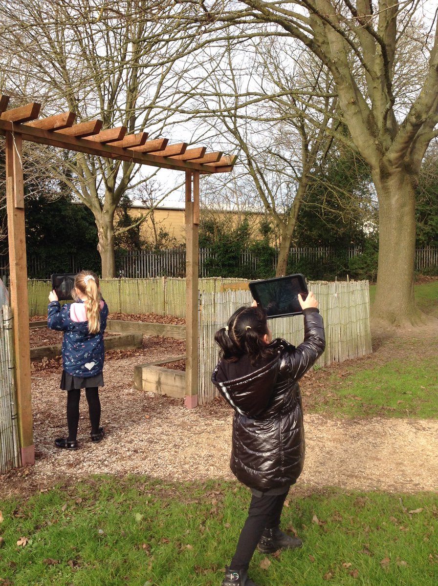 HollyfastSchool's tweet photo. 2S have been amazing photographers in their computing lessons this week. They have captured images around our school environment and then edited and created their own collage using the iPads. Fantastic technologists . #photograpgers #technologists #davidbailey #amazinglearners https://t.co/vzvDG1rYTR