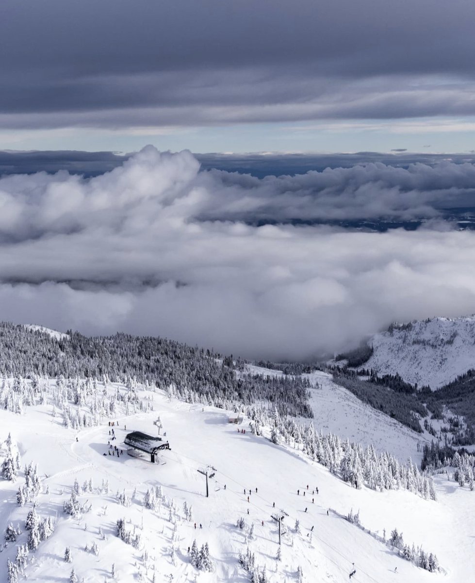 FlyYQQ's tweet photo. Looking for an excuse to enjoy the snow? We are so lucky to have @MountWashington right here in the #ComoxValley (and only a 40-minute drive from the airport!) #FlyYQQ

📸 Pic creds: Nick Thornton Photo https://t.co/C1jYGFdcBI