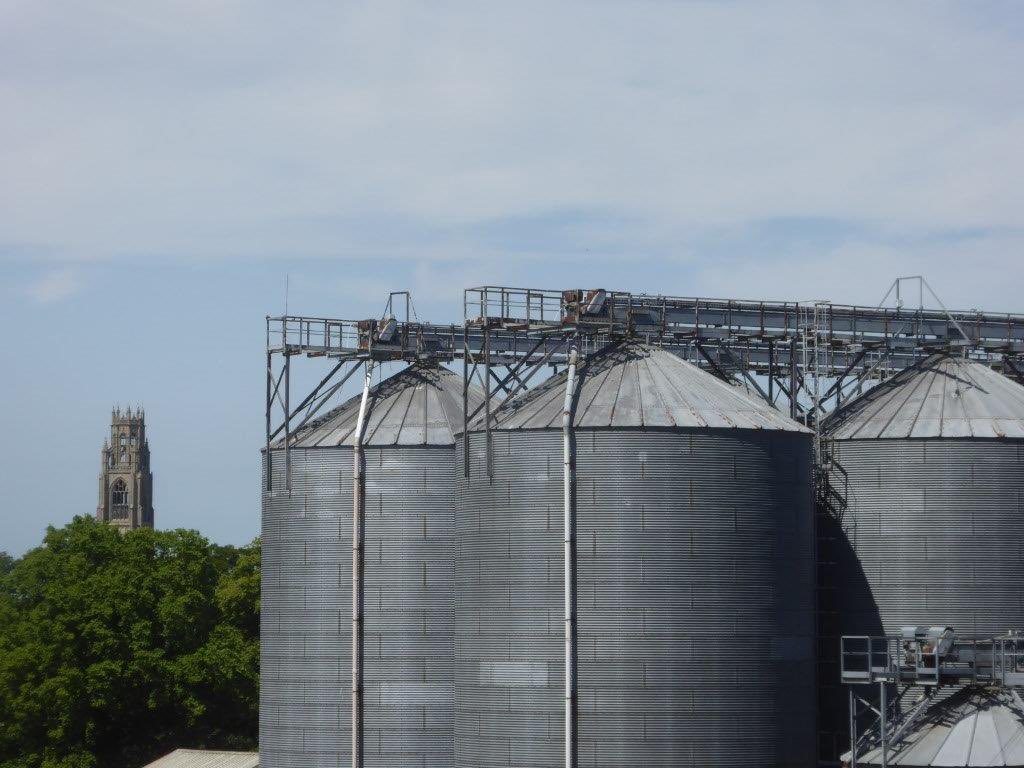 Nick Francis (@n_w_francis) on Twitter photo JOB ALERT 🚨 Fancy a harvest job that does not involve driving a 🚜? I have a couple of options for you @ Lingrain Grain-store, Boston, Lincs. Lab or yard role available July 22 to September 22. Email me to find out more nick.francis@lingrain.co.uk JOB ALERT 🚨 Fancy a harvest job that does not involve driving a 🚜? I have a couple of options for you @ Lingrain Grain-store, Boston, Lincs. Lab or yard role available July 22 to September 22. Email me to find out more nick.francis@lingrain.co.uk