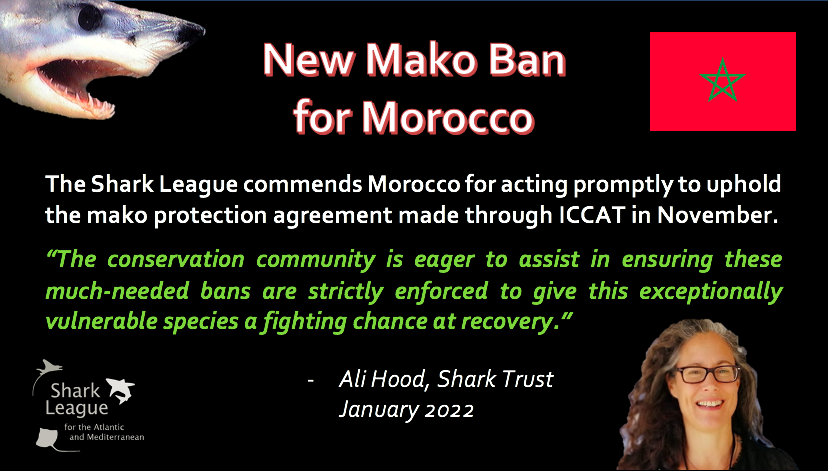 SharkAdvocates's tweet photo. 🇲🇦🦈 News: The #SharkLeague is commending Morocco for acting promptly to uphold the North Atlantic shortfin mako shark protection agreement made through #ICCAT2021 in November with a new national ban on fishing, storage &amp; trade. More in blog post: https://t.co/le4VTAsf0S https://t.co/IayelxrHxy