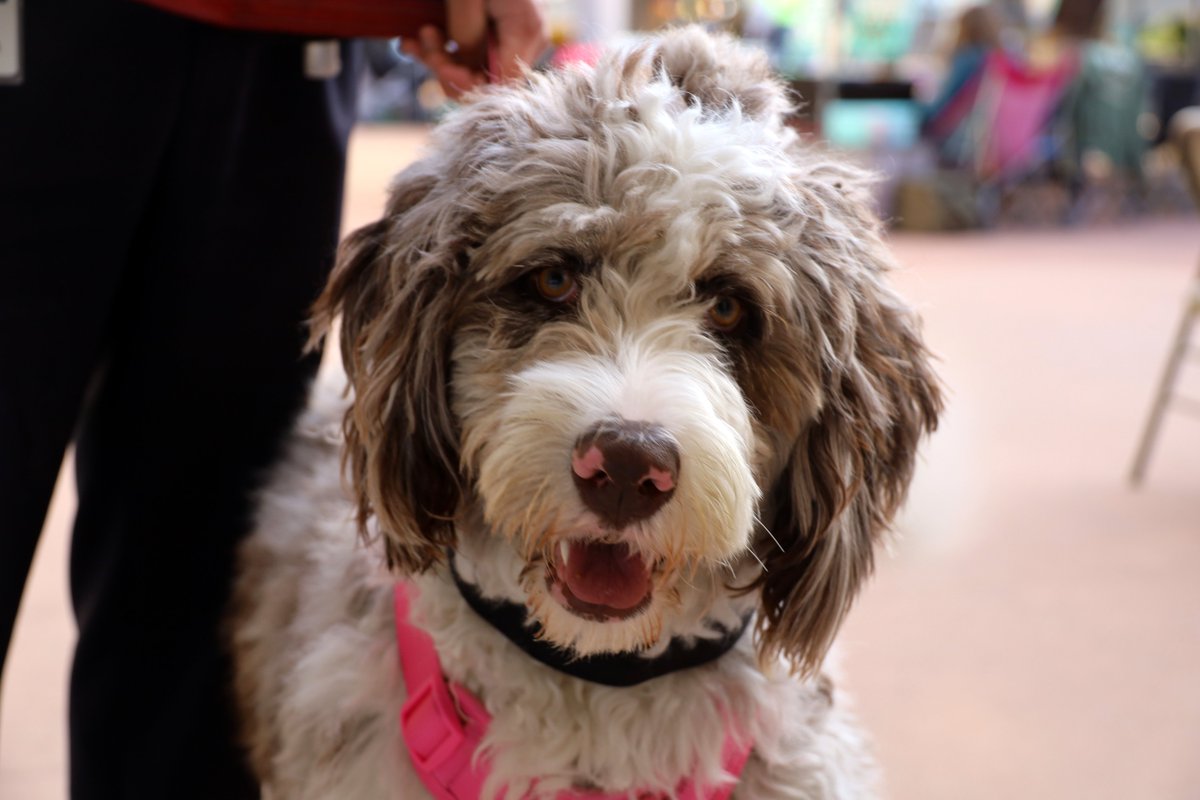 Grow Local Farmers' Market tweet media