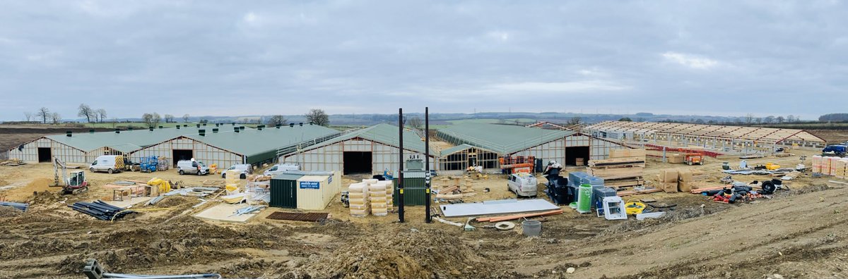 We are progressing well on the Grantham site. The 4th floor pour has gone down this week from <a href="/ConnopConcrete/">Connop & Son</a> ready for <a href="/jfmckennaltd/">JF McKenna Ltd</a> to install equipment next week. House 5 and 6 steel is going up ready for underlining next week. #poultryhouses #construction