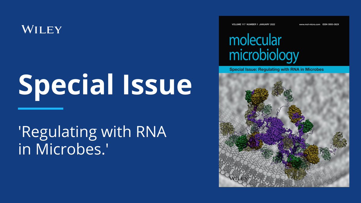 Wiley Microbiology (@wileymicrobio) on Twitter photo This NEW Molecular Microbiology Special Issue looks at "Regulating with RNA in #Microbes."
👥 Edited by: Kai Papenfort, Sarah A. Woodson, Ruth A. Schmitz, Wade C. Winkler.
Get stuck in: ow.ly/xFeo50HKwPz
<a href="/MolMicroEditors/">Mol Micro Editors</a> This NEW Molecular Microbiology Special Issue looks at "Regulating with RNA in #Microbes."
👥 Edited by: Kai Papenfort, Sarah A. Woodson, Ruth A. Schmitz, Wade C. Winkler.
Get stuck in: ow.ly/xFeo50HKwPz
<a href="/MolMicroEditors/">Mol Micro Editors</a>
