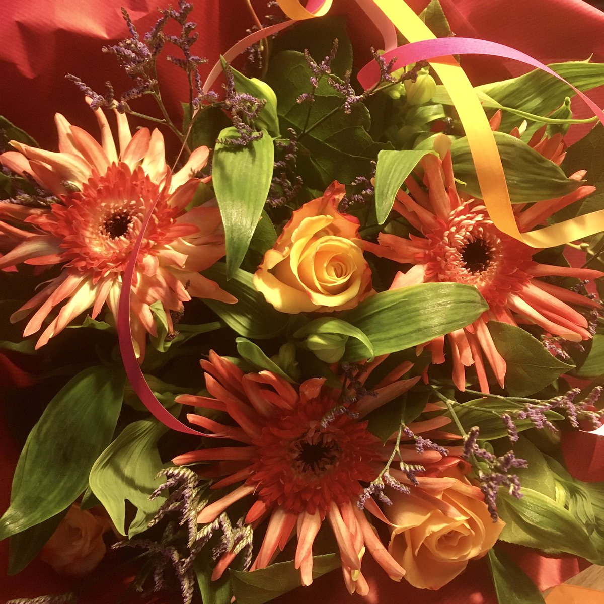 Eva Hoeke tweet media