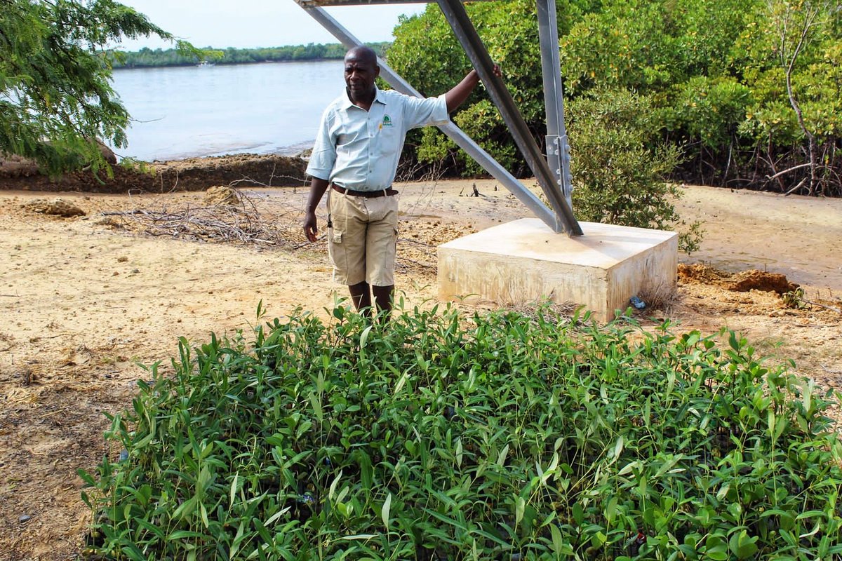 Celebrating the World Wetlands Day in Lamu, celebrated annually on 2 February, aims to raise global awareness about the vital role of wetlands for people and planet.
The theme for this year's event is, "Wetlands Action for People and Nature."