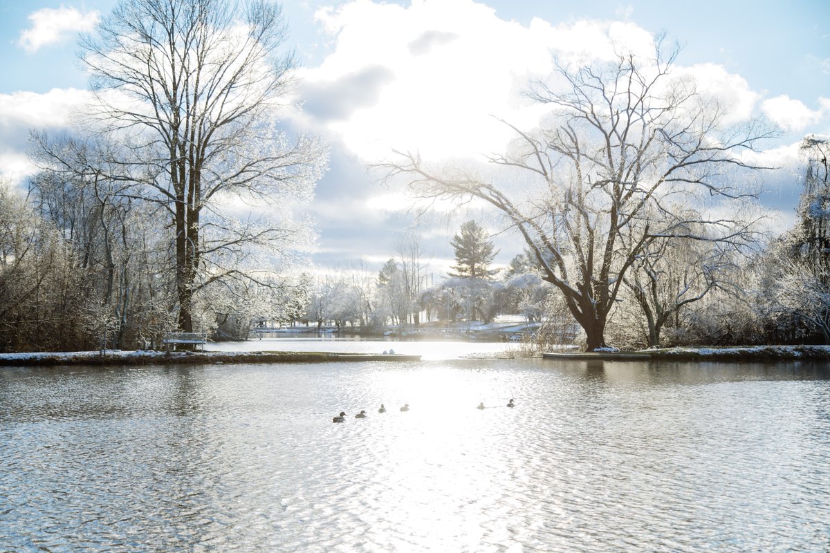 Virginia Tech tweet media