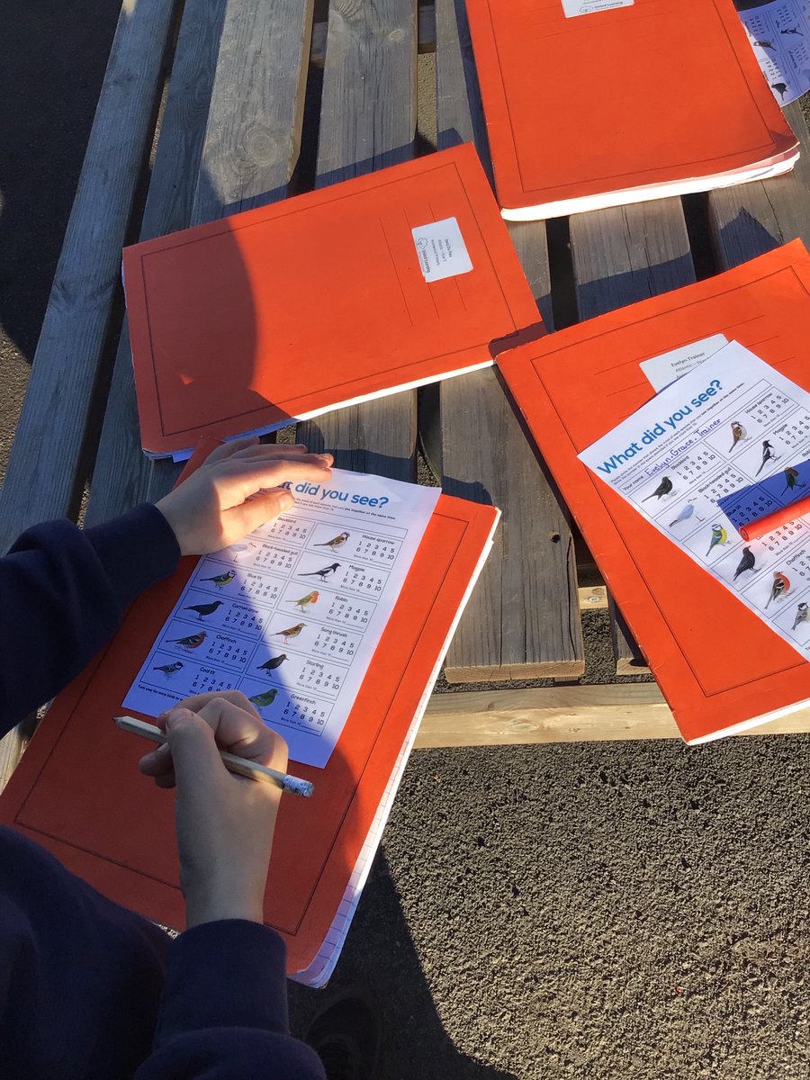 Year 5 enjoyed the sunshine this afternoon whilst participating in the <a href="/Natures_Voice/">RSPB</a> Big Bird Watch this afternoon! Some fantastic classifying of birds going on! 🐦<a href="/AvonwoodScience/">Avonwood Science 🔬🚀🌱 Clare Grimley</a>
