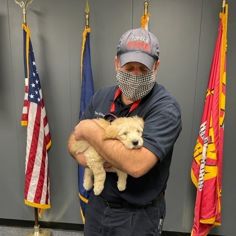 FireChiefTopeka's tweet photo. In 2021 Topeka Fire Department received a generous donation from a prominent family in Topeka. The gift was the opportunity to receive a comfort dog. Her name is Molly and Training Officer Lt. Robbie Forman is her handler. She is now a big part of the TFD family https://t.co/FlkDBr2xnh