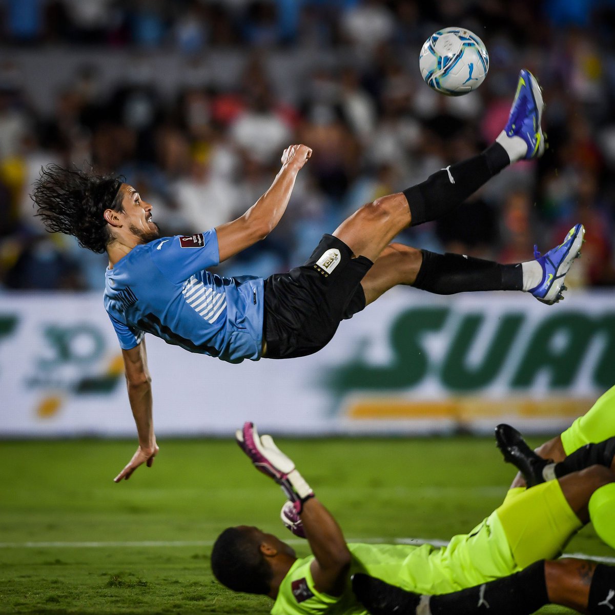 Rengo1891's tweet photo. No hay ni habrá otro jugador como el, corre, tranca, tira centros, cabecea, te hace un caño, despeja de su propia área, y si lo sacan, siempre con una sonrisa en la cara, el Edi de la gente https://t.co/g6Qh1qYeUZ