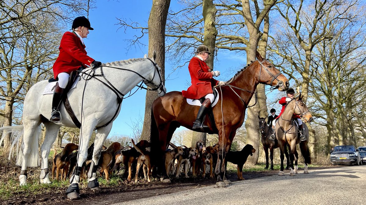 #Slipjacht in #Haarle