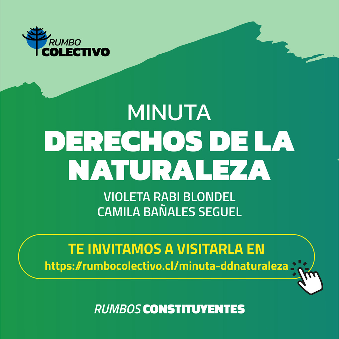 Rumbo Colectivo tweet media