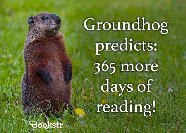 Denise Brandt (@denise_brandt) on Twitter photo 