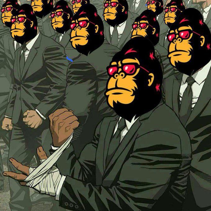 me341o🏹🦍 tweet media