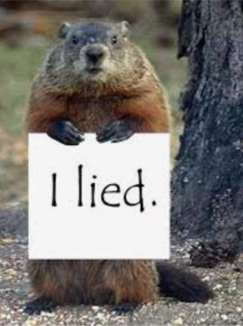 ConnectPointe's tweet image. 