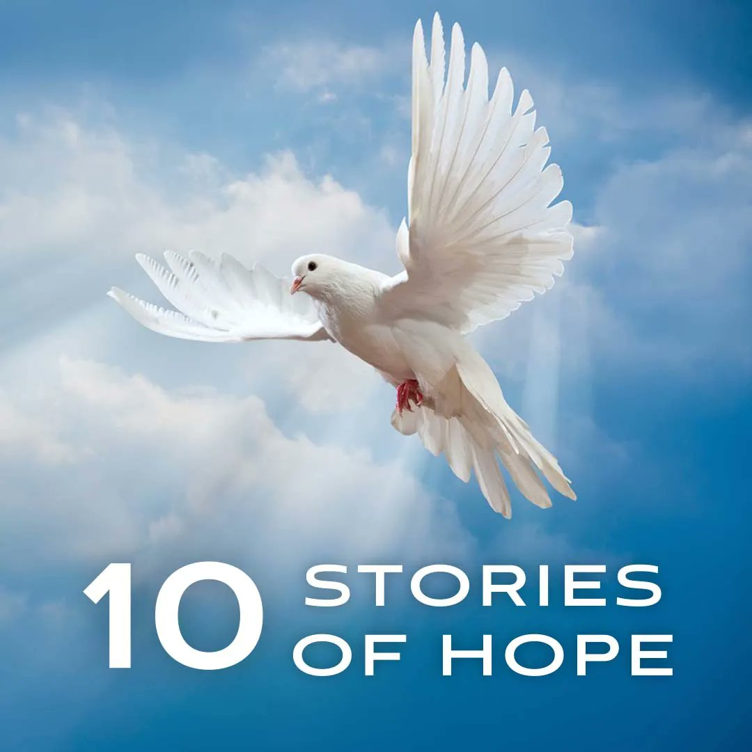 Catalyst Vineyard tweet media