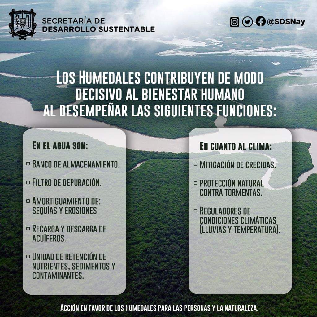 Los humedales son ecosistemas esenciales en la moderación contra el cambio climático.

#HumedalesVidaBiodiversidad