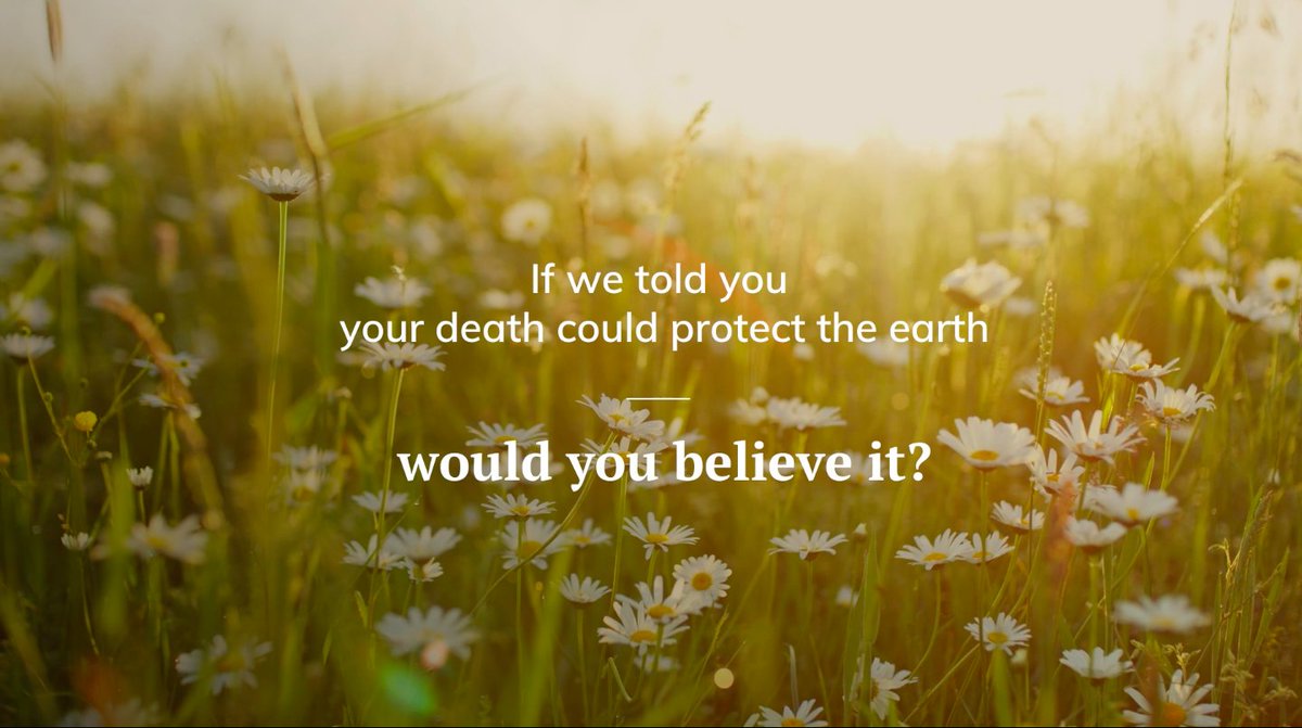 Natural Burial Association tweet media