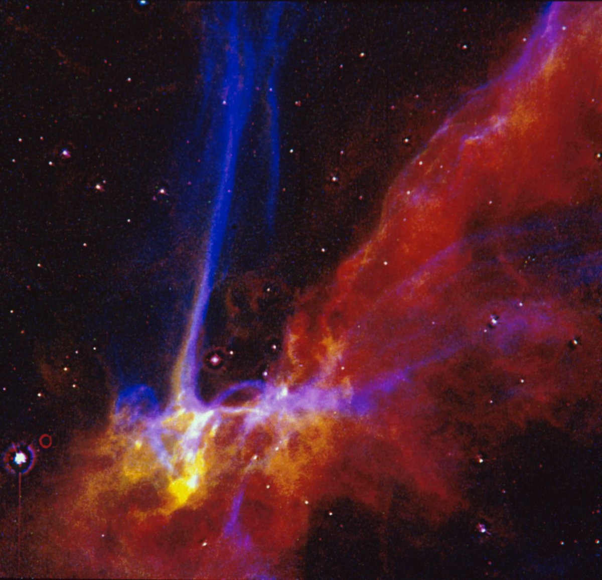 .<a href="/NASAHubble/">Hubble</a> saw something amazing on the anniversary of its April 24 launch — the Cygnus Loop supernova remnant.

What did the telescope see on your special day? Find out and reply with your NASA birthday picture: go.nasa.gov/3umgxnY