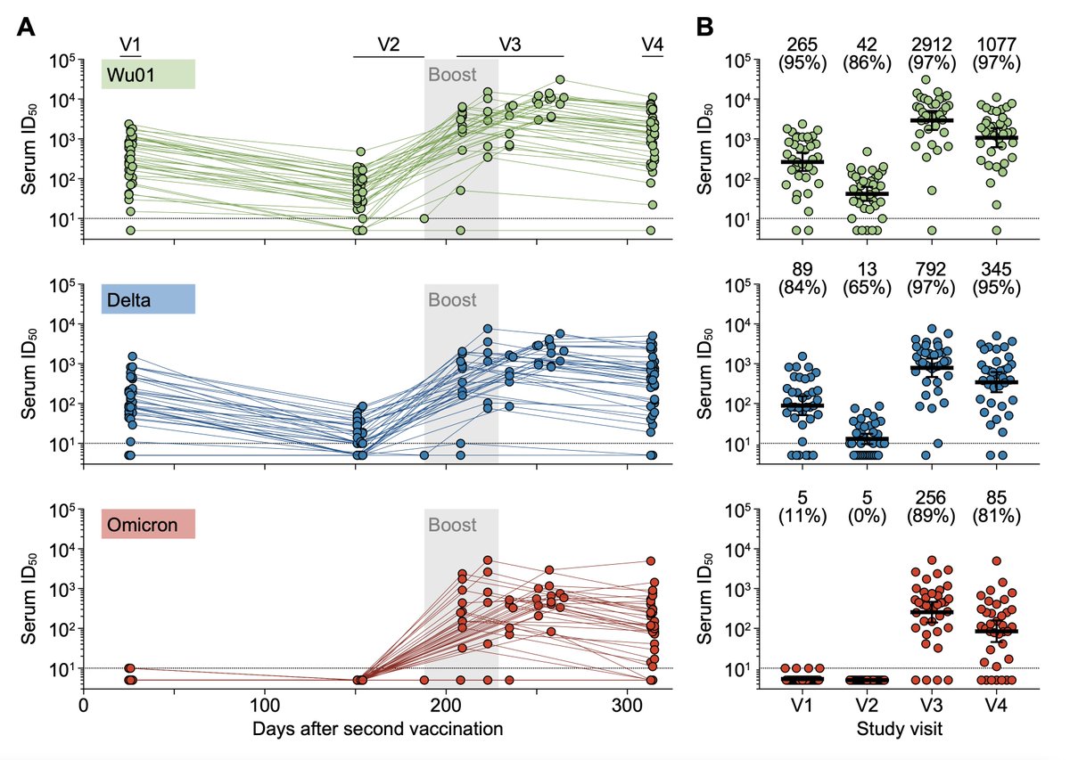How durable are 3rd/booster shot-induced neutralizing antibodies vs Omicron in elderly people?
81% of individuals, median age 82, maintained detectable activity at 4.5 months👍
2 shots: nearly absent
medrxiv.org/content/10.110…
by <a href="/kvanshylla/">kanika vanshylla</a> and colleagues <a href="/UniCologne/">Universität zu Köln</a>
