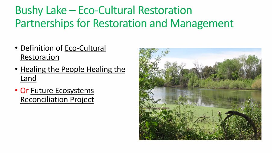 DeltaCouncil's tweet photo. "I have always started with #localplants. Reciprocal #restoration is healing relationships between people + the land. Let's talk about reciprocity, reconciling with indigenous sovereign nations," says Michelle Stevens, (@sacstate).
#adaptingrestoration https://t.co/0Gr7JSivRB