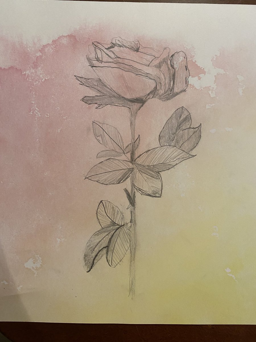 Today’s Art with Phil: The Rose