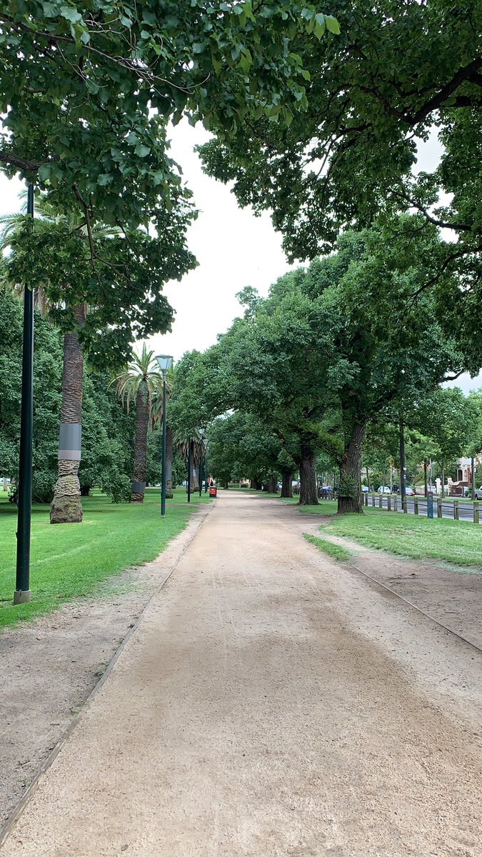 Reclaiming my lockdown routine morning walk around Princess Park as a an anxiety free place now post first trip back to Sweden in 2,5 years. The trees look greener, the coffee tastes better - it’s good to be home after going home!