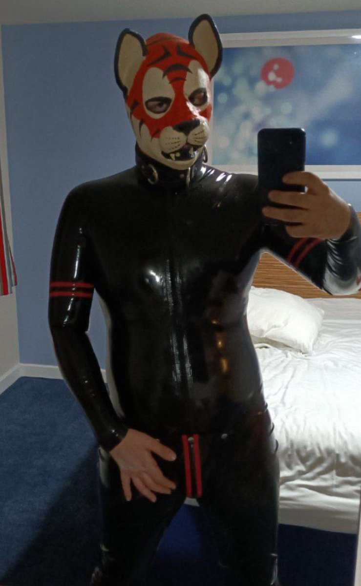 Squeaky Tiger Thing tweet media