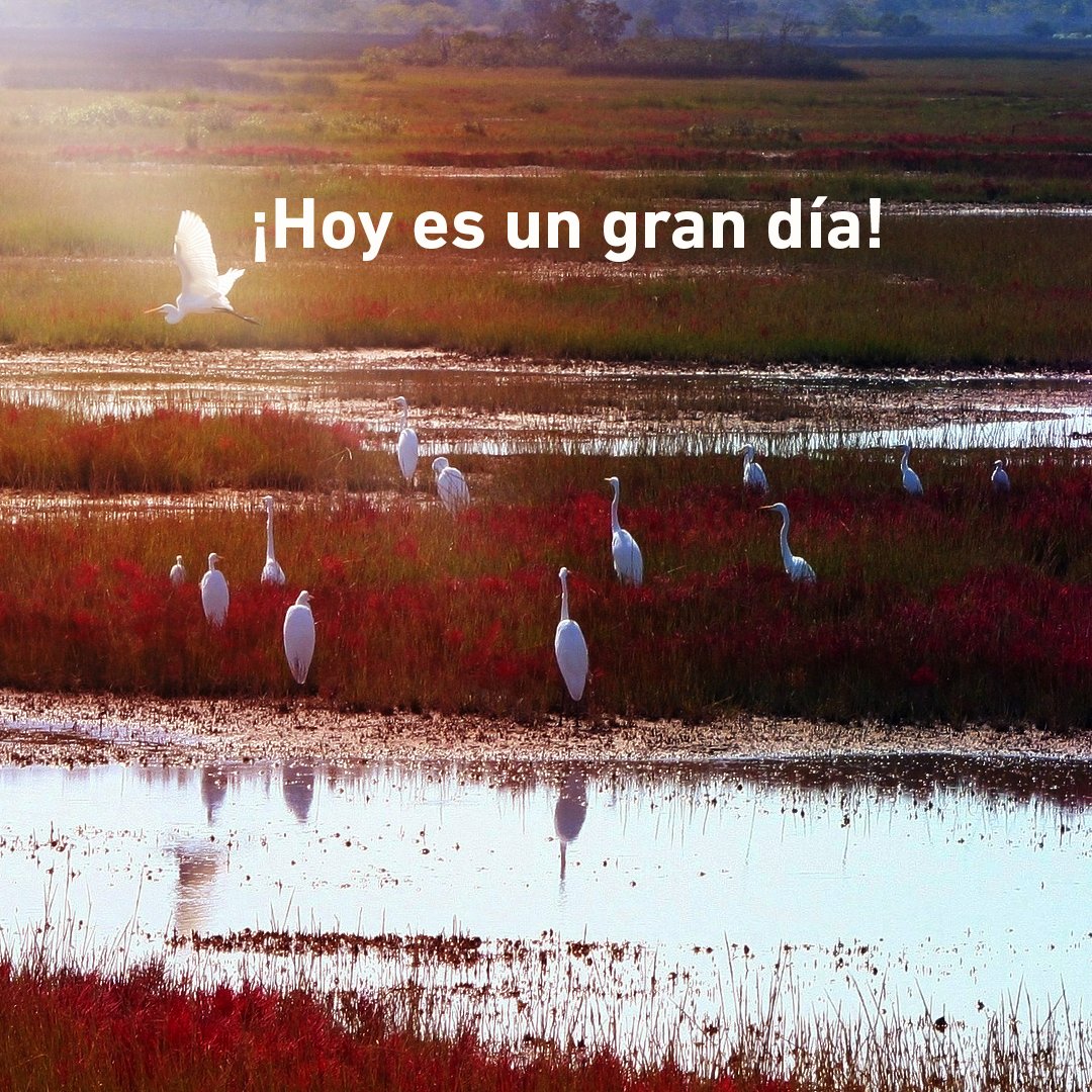 SantuarioGotadeLeche tweet media