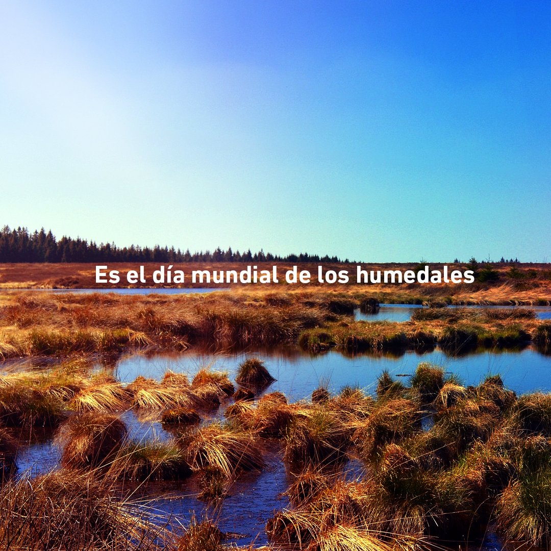 SantuarioGotadeLeche tweet media