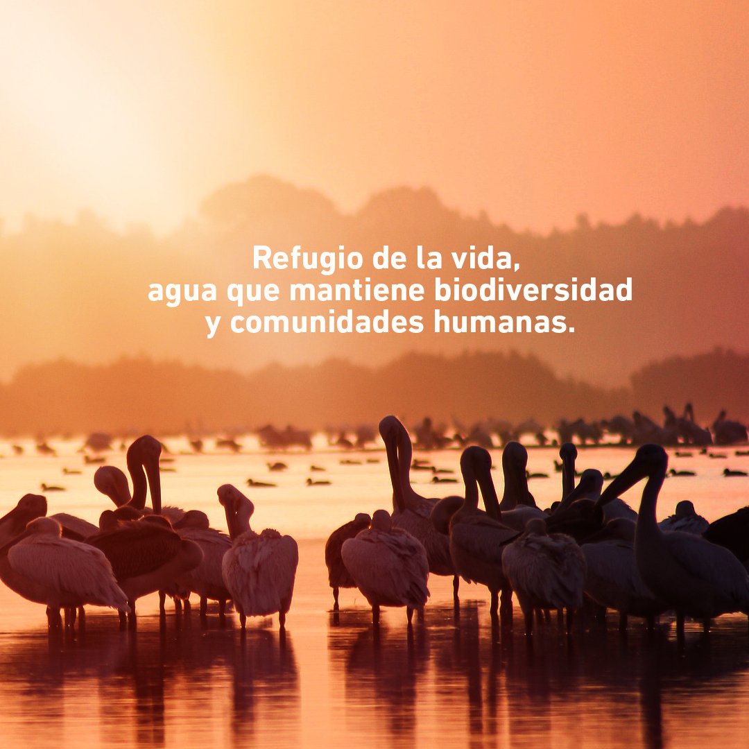 SantuarioGotadeLeche tweet media