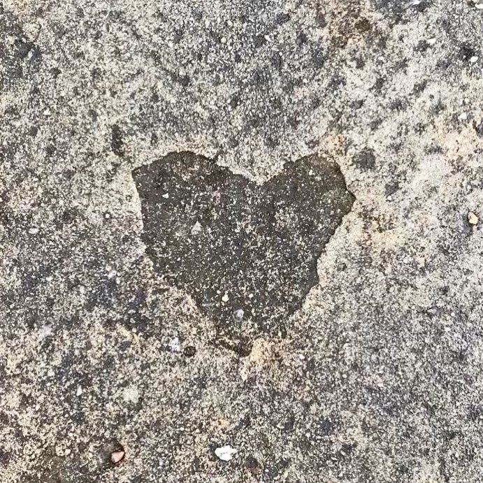 wayhip's tweet photo. Where did you experience love today? How did you share love today?
#love #heart #FoundHeart #AfternoonWalk https://t.co/p3jO2L1A6k
