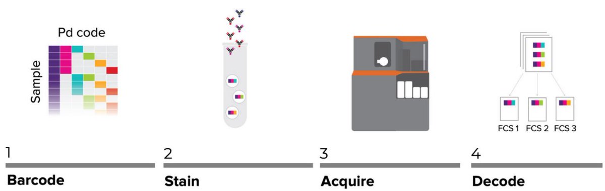 Standard_BioT's tweet photo. How can you conserve your precious samples but still get the information you need? #Cellbarcoding with #CyTOF technology enables efficient use of samples by allowing you to combine many samples in one tube.
How barcoding enables high-multiplex analysis: https://t.co/Xk2nqFqVIf https://t.co/V4BB9plsKc