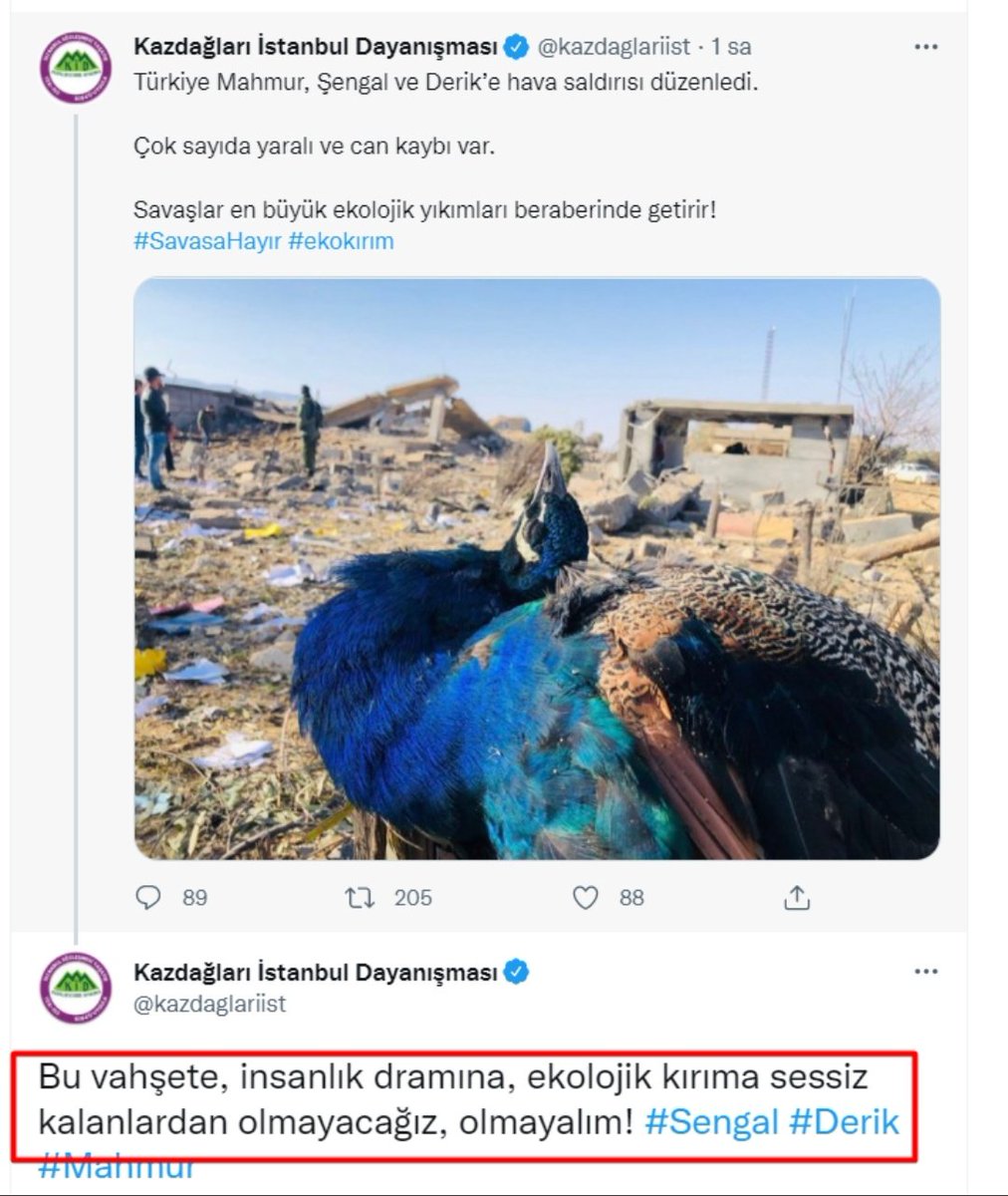View on Twitter. 