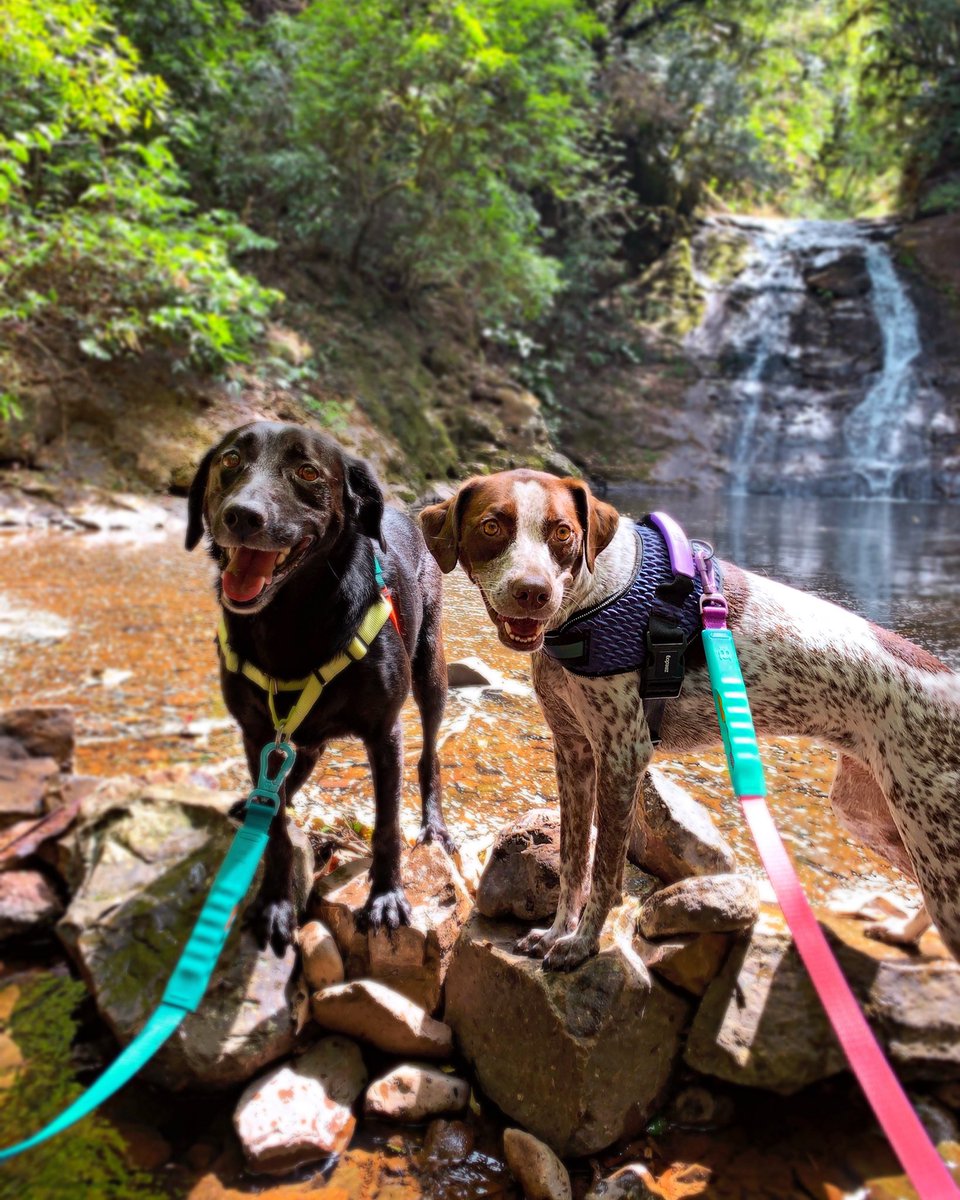 LUKE & ARYA tweet media