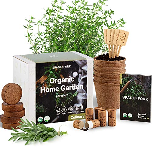 ways_our's tweet photo. Indoor Herb Garden Starter Kit – Certified 100% USDA Organic Non GMO – Potting Soil, Peat Pots, 5 Herb Seed Basil, Cilantro, Parsley, Sage, Thyme – DIY Kitchen Grow Kit for Growing Herb Seeds Indoors

https://t.co/61U96eEC15

#shop #shoppingonline #shopping #garden #greenthumb https://t.co/Urxzlc3rGv